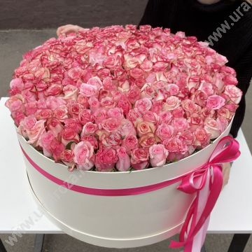 151-301 роза, 201 розовый микс в коробке